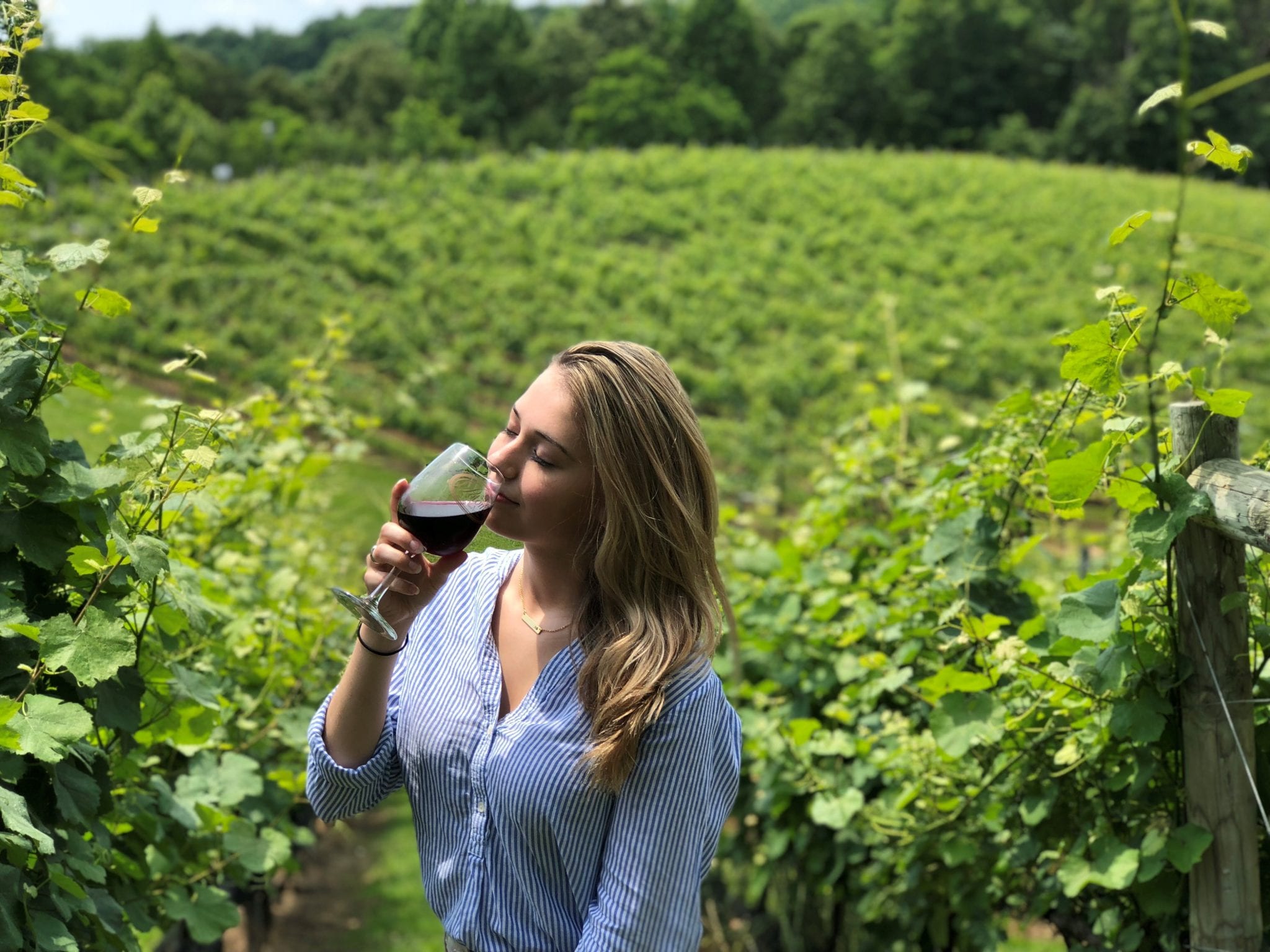 Sniffing wine in the vineyard