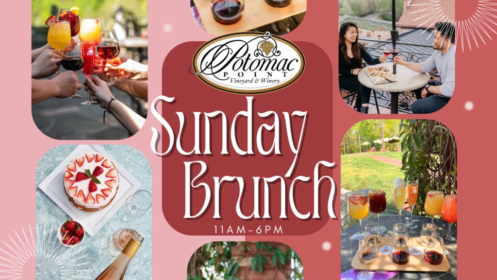 Sunday Brunch Las Olas 2024 Events Peg Leanna