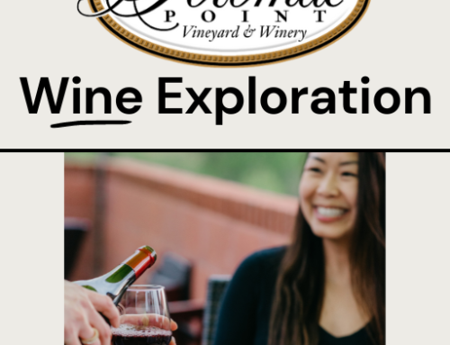 Discover the World of Wine with Our New eBook “Wine Exploration”