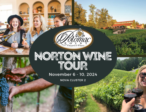 Unveiling the Virginia Norton Wine Tour 2024