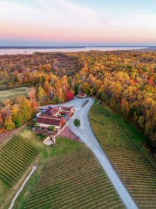 Peak Fall Foliage - Photo taken October 30th