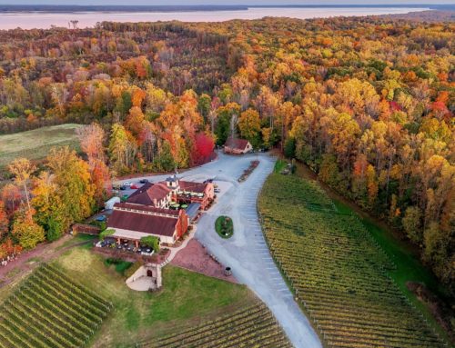 Savor Peak Fall Foliage & Seasonal Delights at Potomac Point Winery