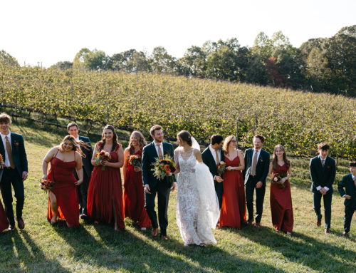 Celebrate Your Love with a Winery Wedding at Potomac Point Winery (10.11.24)